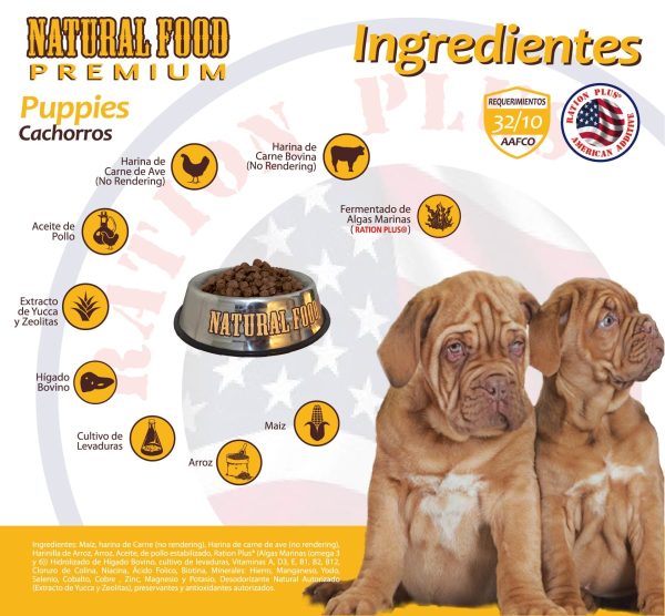 CACHORROS - Imagen 2