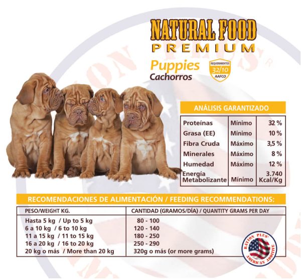 CACHORROS - Imagen 3