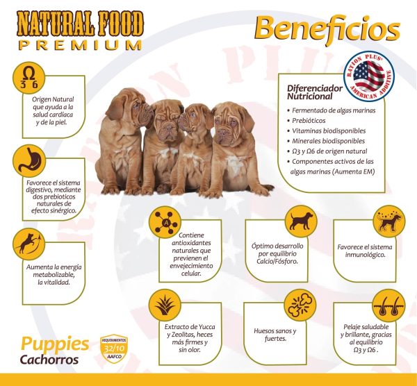 CACHORROS - Imagen 4