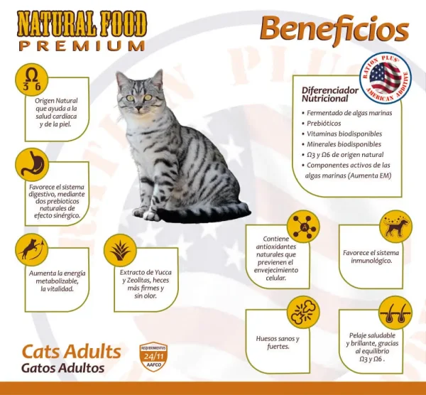 GATO ADULTO - Imagen 2